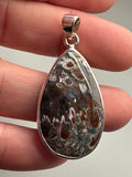 Rare Opalized Plume Agate Pendant in 925 SS