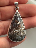 Rare Opalized Plume Agate Pendant in 925 SS