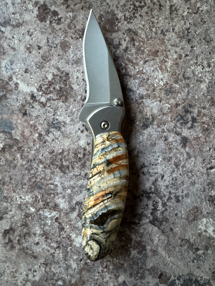 Mammoth Tooth Chive Kershaw Knife Veteran Owned Business