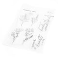 All Kinds of Wonderful - Clear Stamps