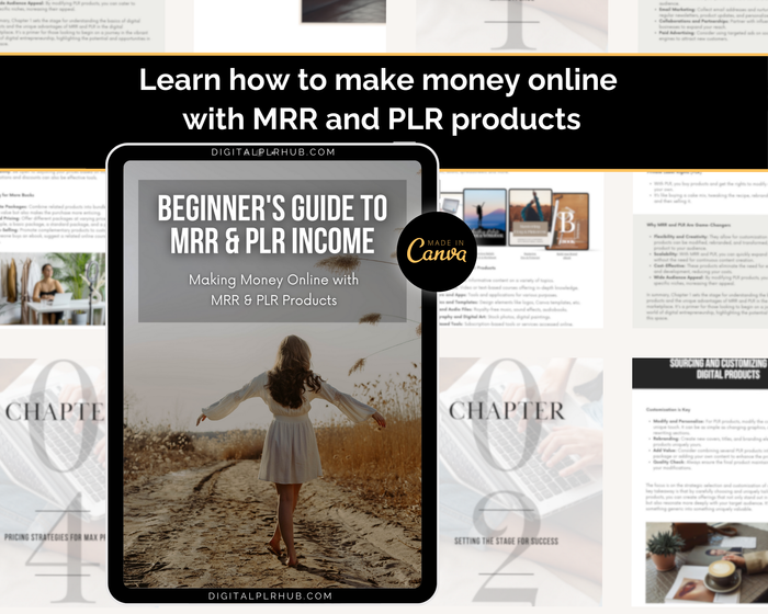 Beginner's Guide to MRR and PLR Income