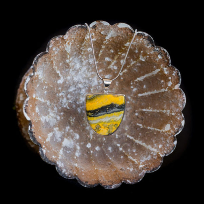 Bumblebee Shield ~ Don't worry, it's not really toxic ;) ~ Java