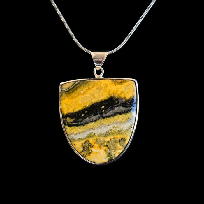 Bumblebee Shield ~ Don't worry, it's not really toxic ;) ~ Java