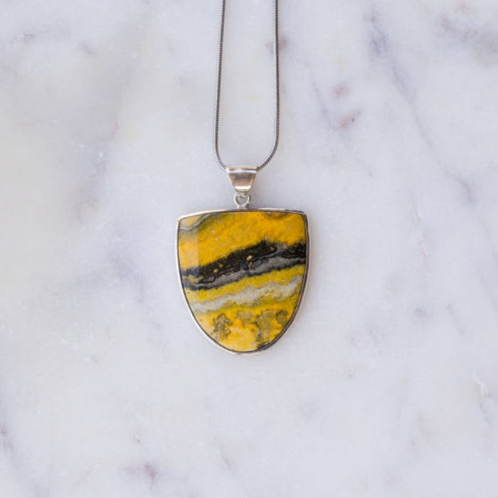 Bumblebee Shield ~ Don't worry, it's not really toxic ;) ~ Java