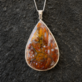 Caddis Fly Agate Palm Root Pendant — 925 Sterling Silver