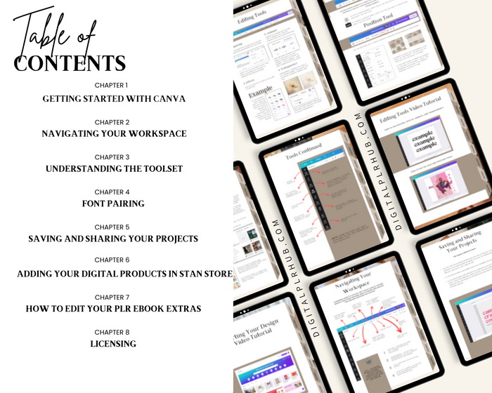 Canva Basics Guide MRR
