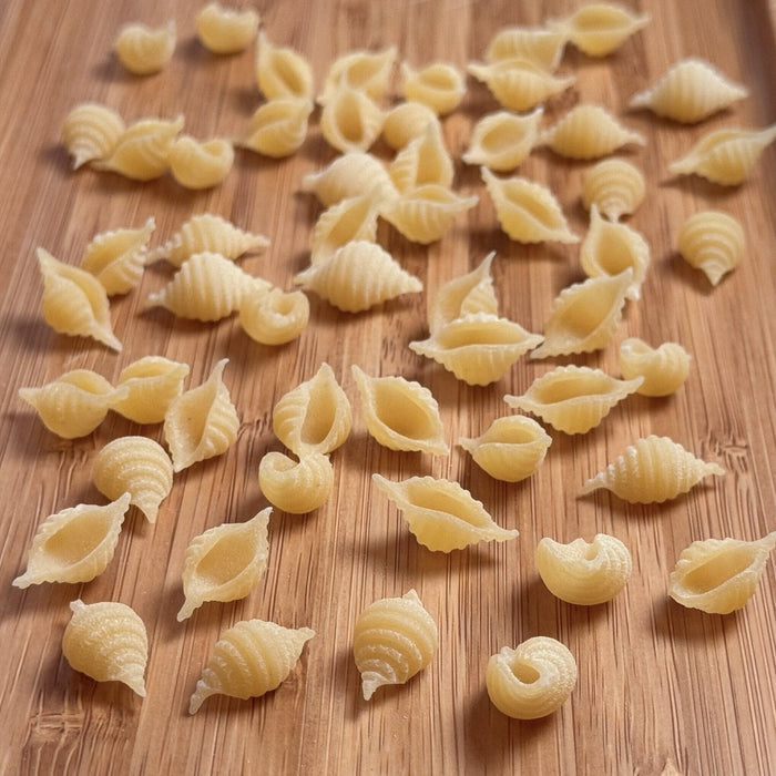 CONCHIGLIETTE - Etto Pasta