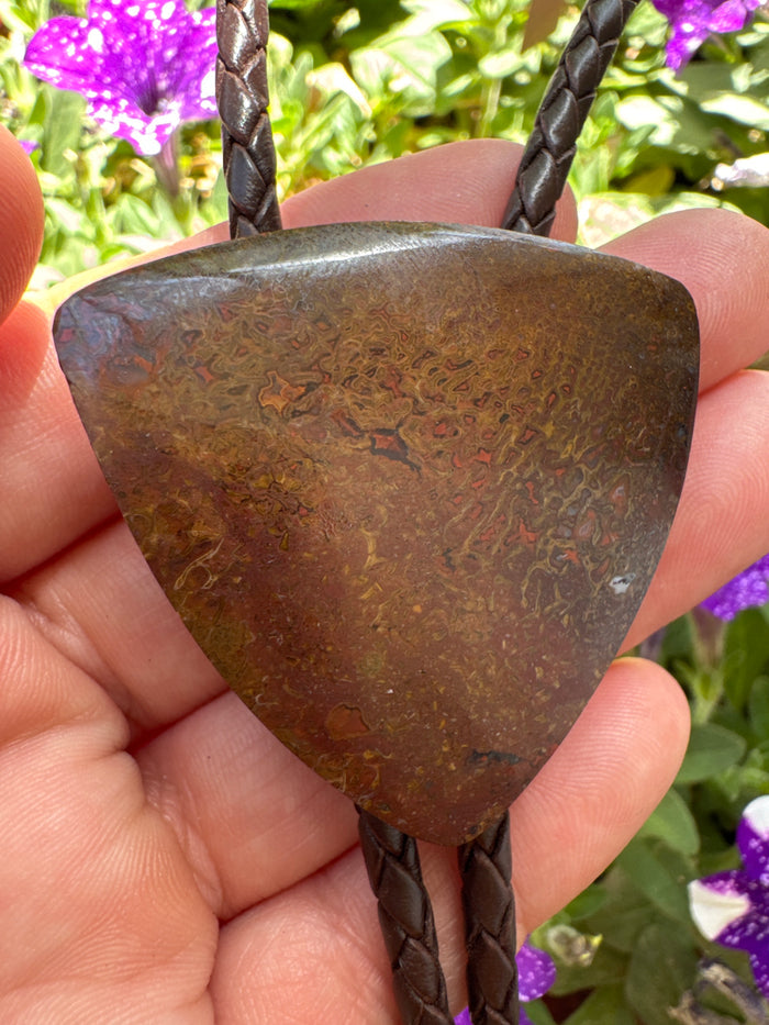 Dino Bone “Gem Bone” Brown Leather Sterling Silver Tip Bolo Tie