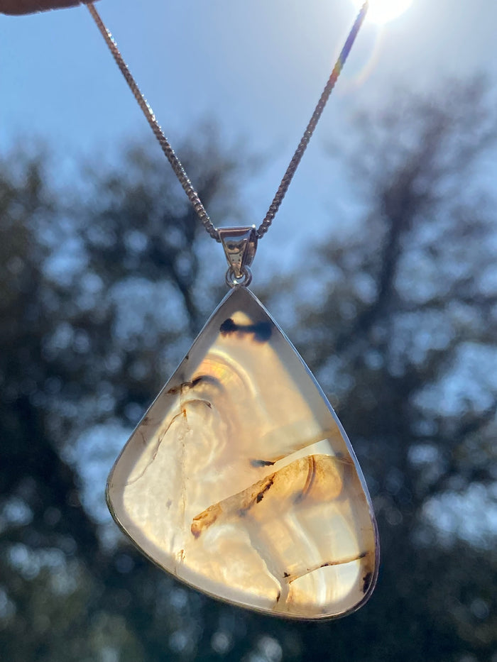 Fern Agate or Montana Agate