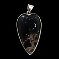 Fossilized Palm Root Heart Pendant in 925 Sterling Silver