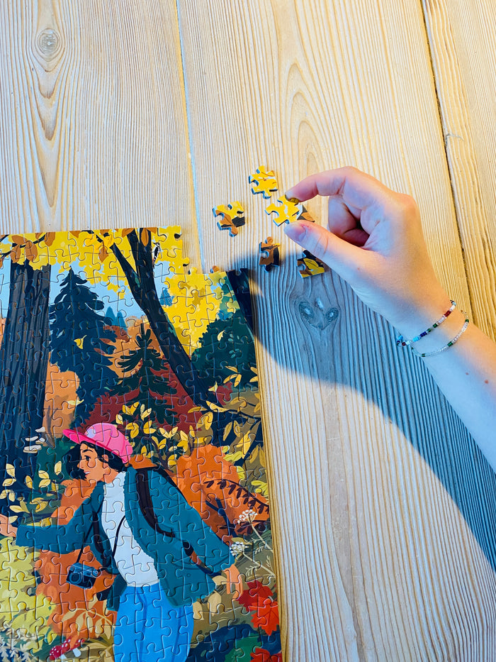 Friendship Hike 1000 brikker fra Penny Puzzle