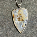 GraveYard Point Plume Agate