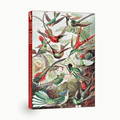 Hummingbirds 1000 brikker vintage puslespil fra Penny Puzzle