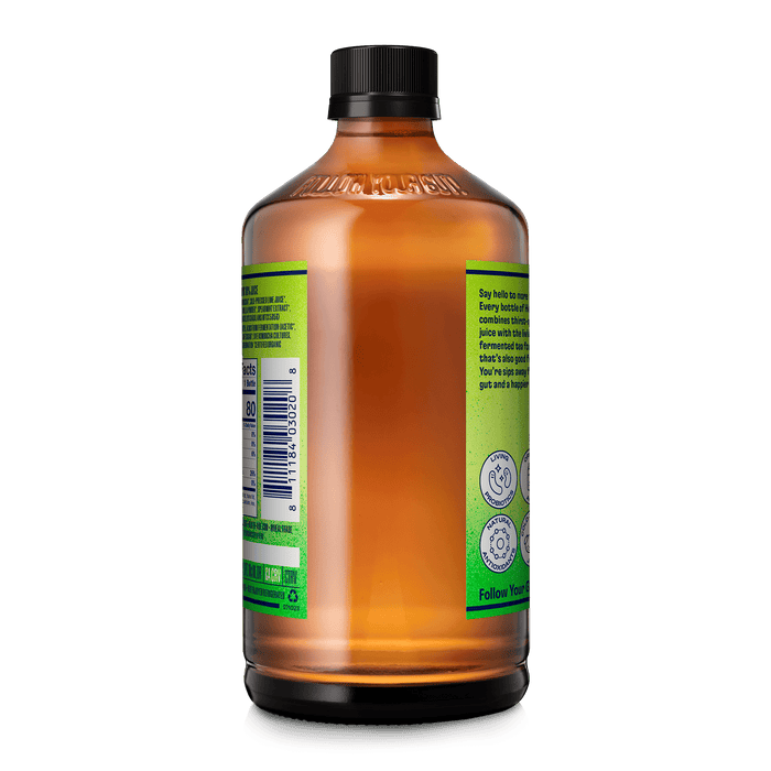 Mint Limeade Kombucha Kombucha Health-Ade