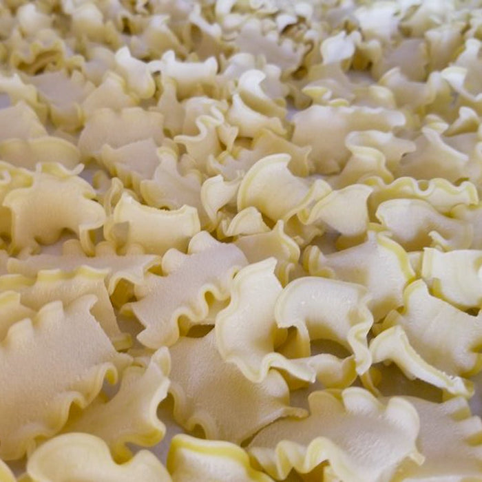Molto Populare Bundle - Our most popular shapes - Etto Pasta