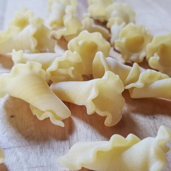 Molto Populare Bundle - Our most popular shapes - Etto Pasta