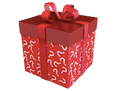 Mystery Gift