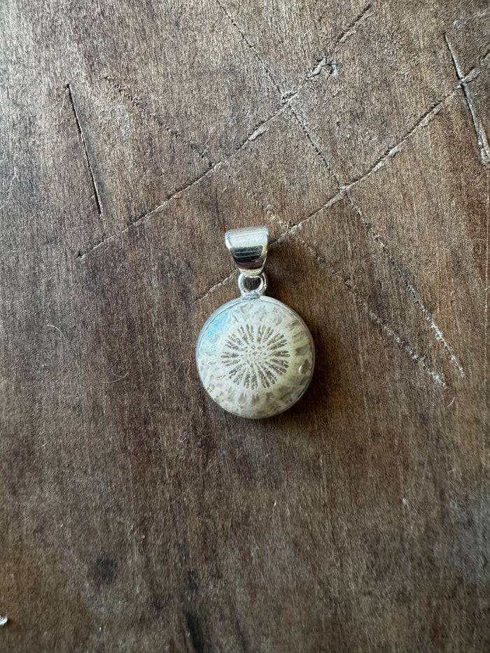 Petite Fossil Coral