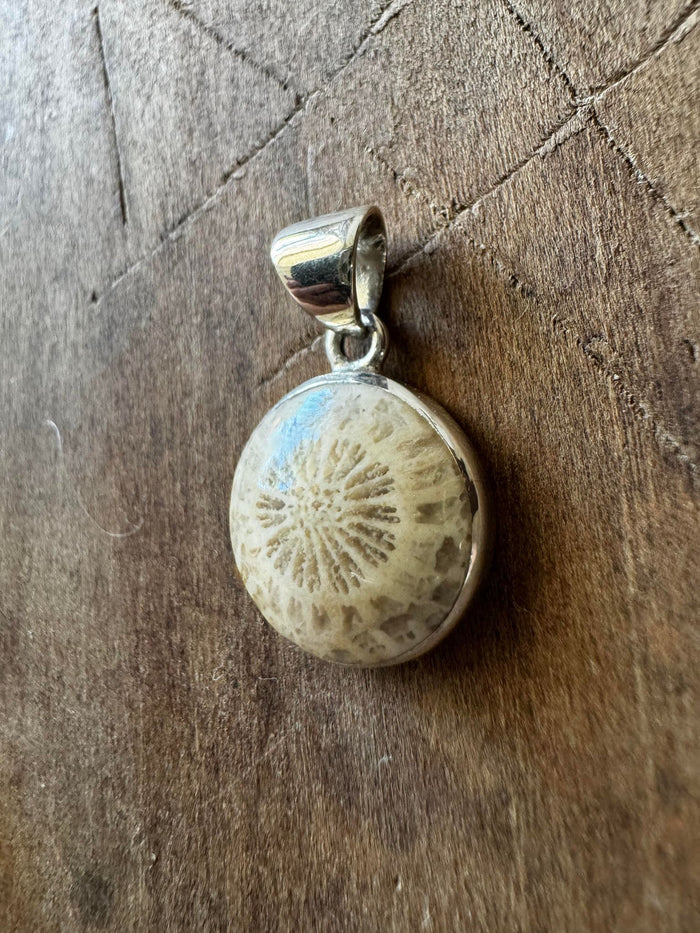 Petite Fossil Coral