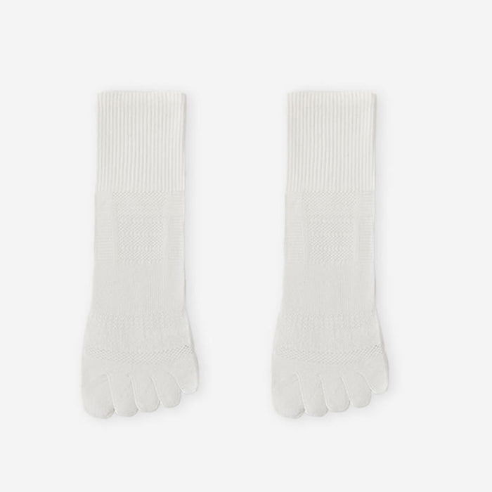 White / EU36-40(US3-7)