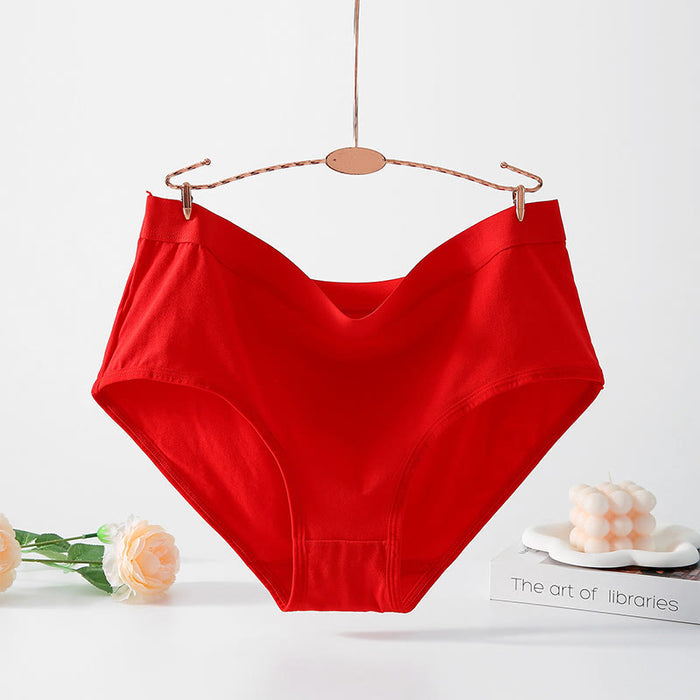 Plusock Simple High Waisted Strentch Panty(4 Packs) - Red - 5XL - image 1