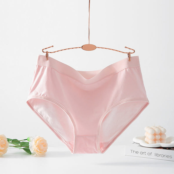 Plusock Simple High Waisted Strentch Panty(4 Packs) - Pink - 6XL - image 3