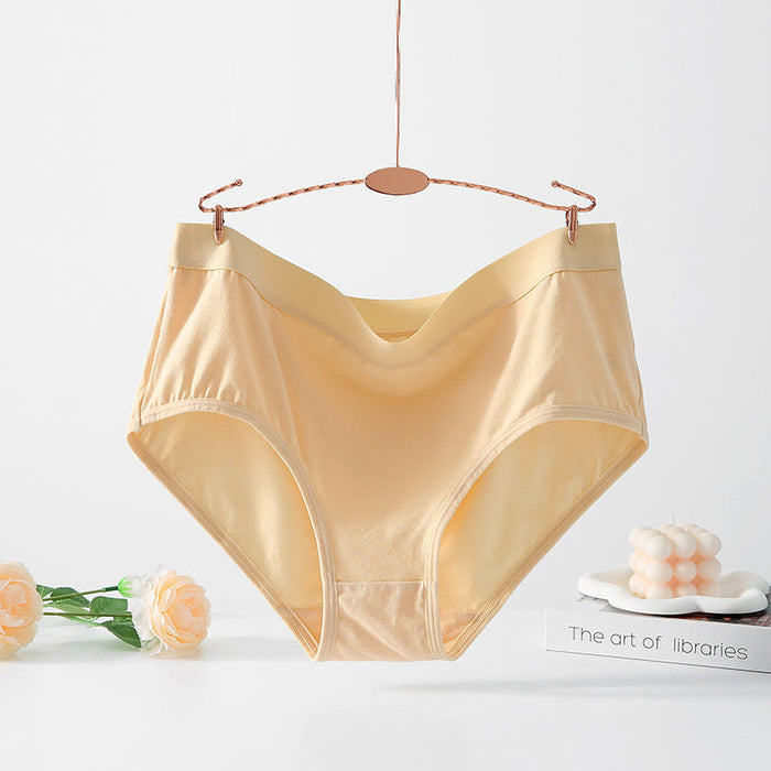 Plusock Simple High Waisted Strentch Panty(4 Packs) - Nude - 6XL - image 7