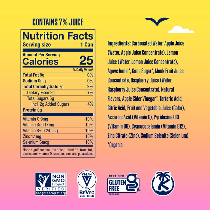 Raspberry Lemonade - SunSip SunSip Health-Ade