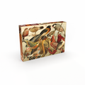 Scarlet Serenade 500 brikker vintage puslespil fra Penny Puzzle