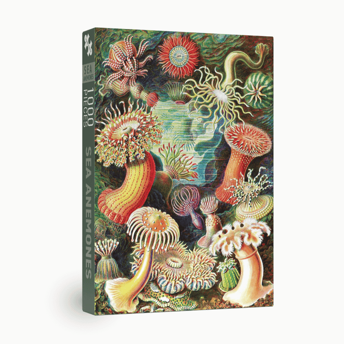 Sea Anemones 1000 brikker vintage puslespil fra Penny Puzzle
