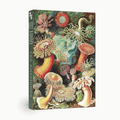 Sea Anemones 1000 brikker vintage puslespil fra Penny Puzzle