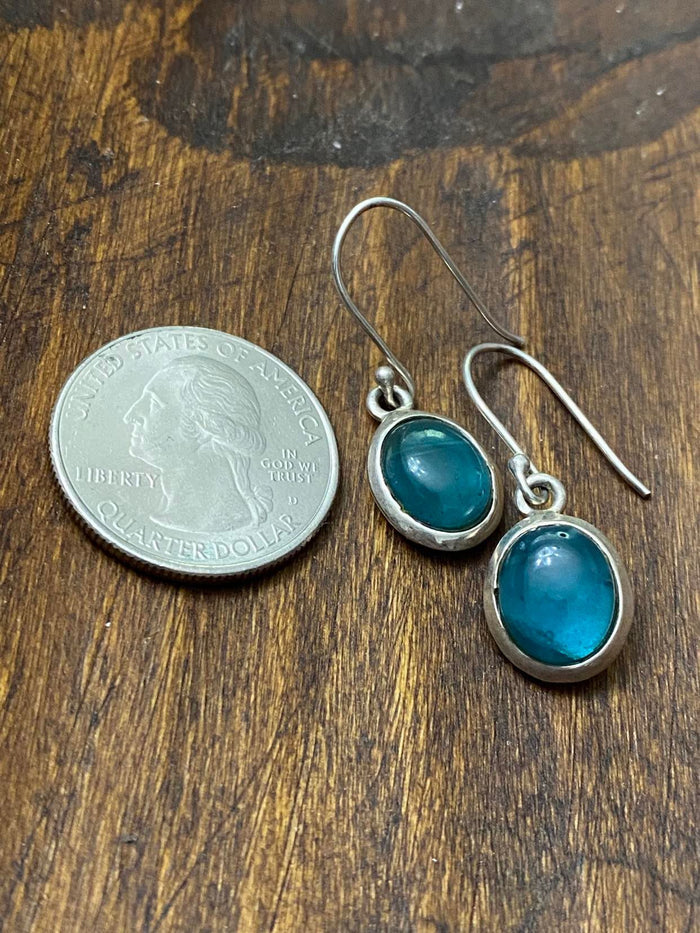 Swedish Blue Earrings