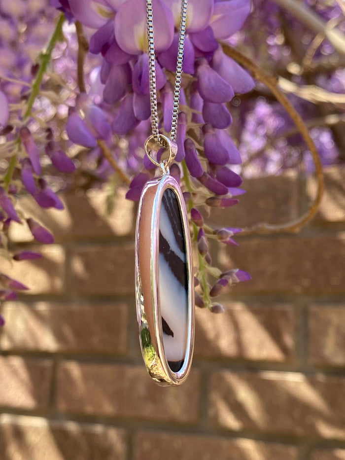 Zebra Jasper